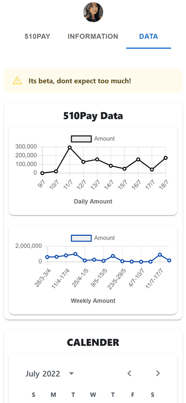 510Pay project preview