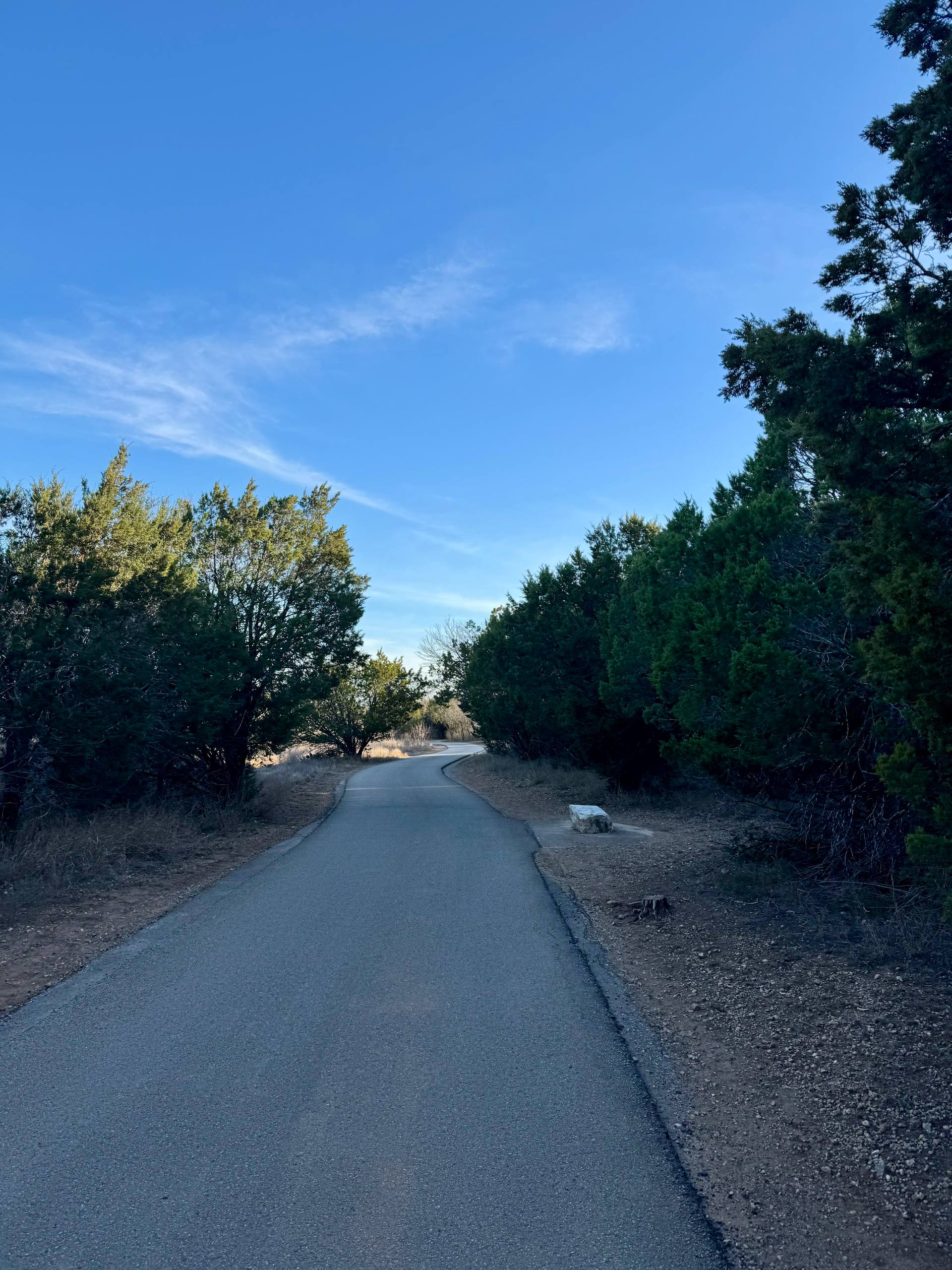 The trail near my new place